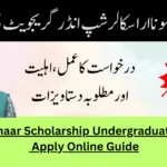 CM Honhaar Scholarship Undergraduate 2025 – Apply Online Guide CM Honhaar Scholarship Undergraduate 2025 – Apply Online Guide