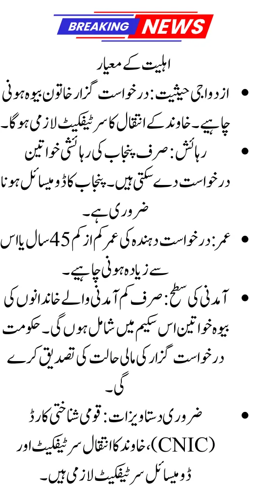 How To Apply For CM Punjab Bewa Sahara Card