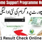BISP 8171 Result Check Online by CNIC – November 2025 Payment Status BISP 8171 Result Check Online by CNIC – November 2025 Payment Status