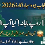 CM Punjab Bewa Sahara Card 2026 — Application Process, Eligibility & Required Documents