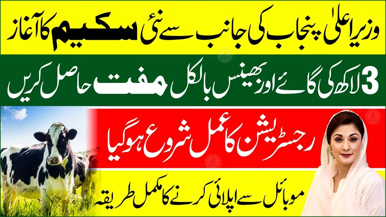 CM Punjab Free Animal Scheme 2026: Eligibility Criteria & How To Apply