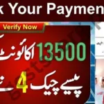 BISP 8171 Payment Discreetly: Easy Ways to Check