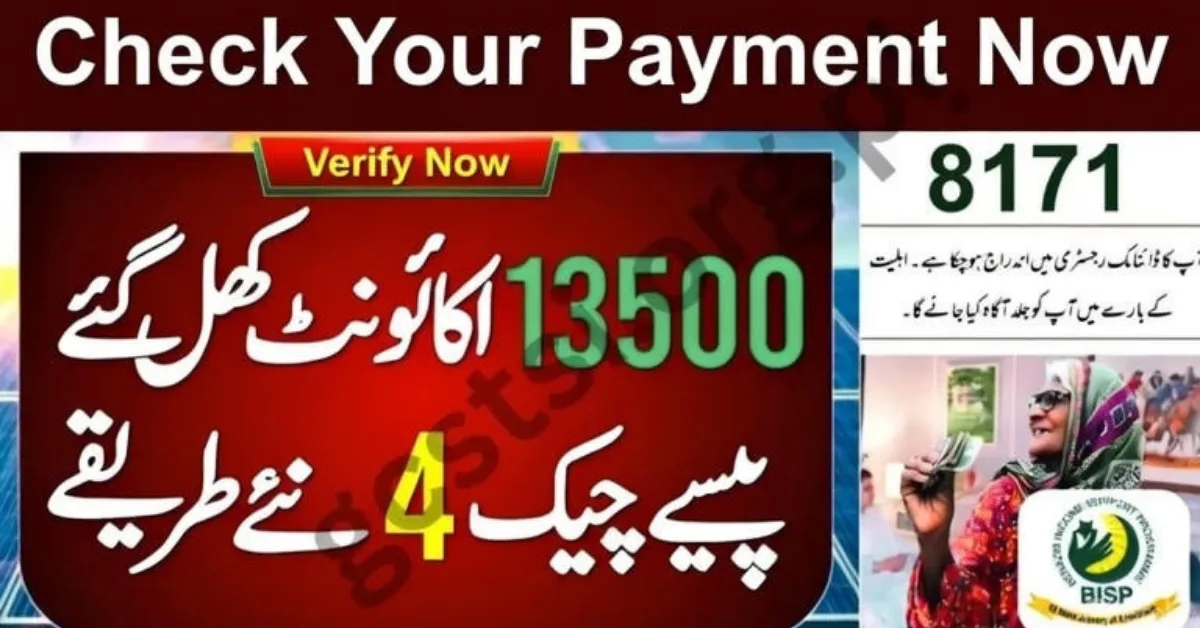 BISP 8171 Payment Discreetly: Easy Ways to Check