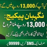 PM Nigehban Ramzan Card 2026 – Complete Guide