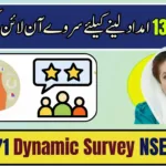 8171 Dynamic Survey NSER 2026 – Complete Guide 8171 Dynamic Survey NSER 2026 – Complete Guide