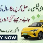 Punjab E-Taxi Program Payment Structure March 2026
