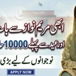 Talk to CM Punjab Portal 2026