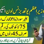 PM Youth Loan Scheme – 45 days Youth Loan