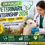 CM Punjab Veterinary Internship 2026