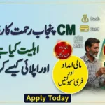 CM Punjab Rehmat Card Eligibility
